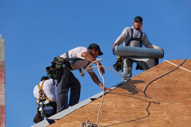 Best Gutter Installation and Roofing  in Semmes, AL